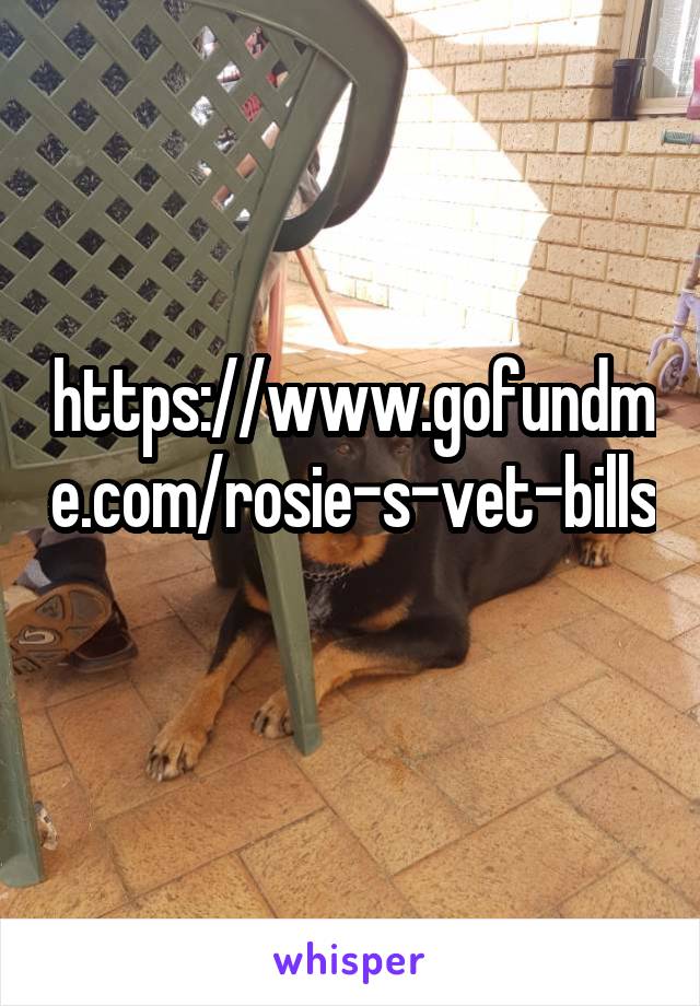 https://www.gofundme.com/rosie-s-vet-bills 