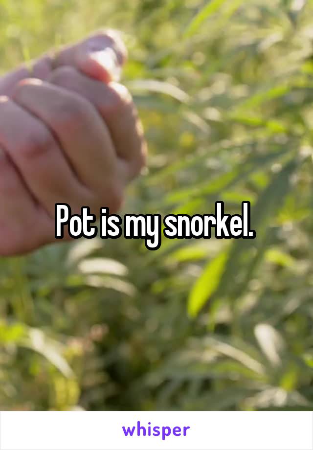 Pot is my snorkel. 