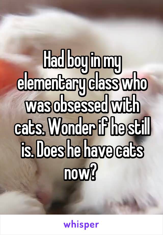 Had boy in my elementary class who was obsessed with cats. Wonder if he still is. Does he have cats now? 