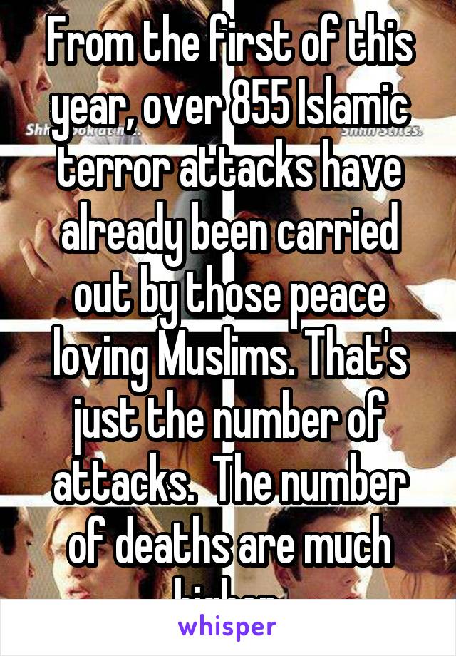 From the first of this year, over 855 Islamic terror attacks have already been carried out by those peace loving Muslims. That's just the number of attacks.  The number of deaths are much higher 