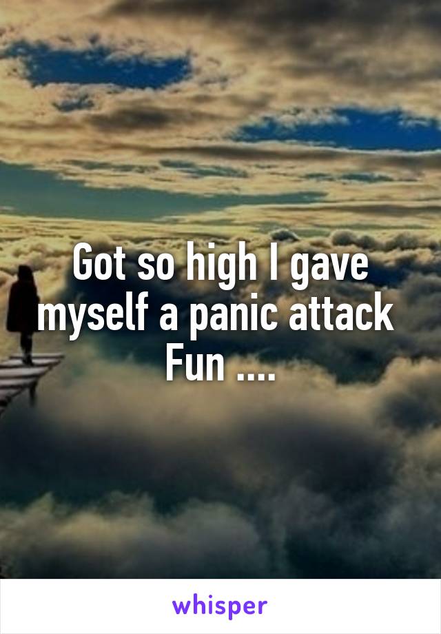 Got so high I gave myself a panic attack 
Fun ....