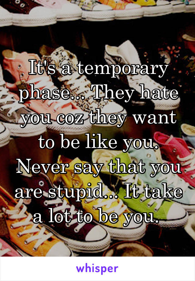 It's a temporary phase... They hate you coz they want to be like you. Never say that you are stupid... It take a lot to be you. 