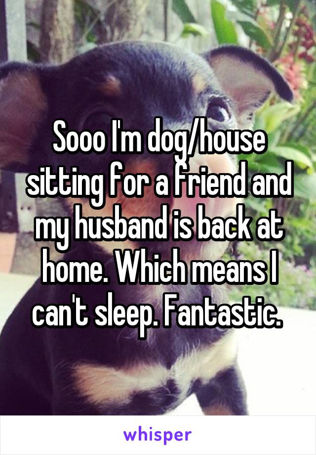 Sooo I'm dog/house sitting for a friend and my husband is back at home. Which means I can't sleep. Fantastic. 