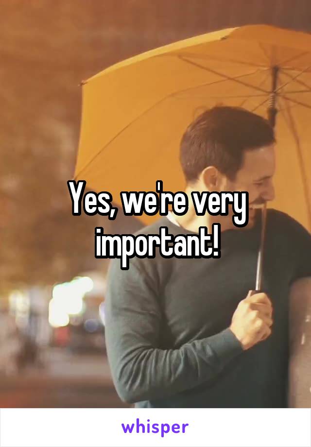 Yes, we're very important!