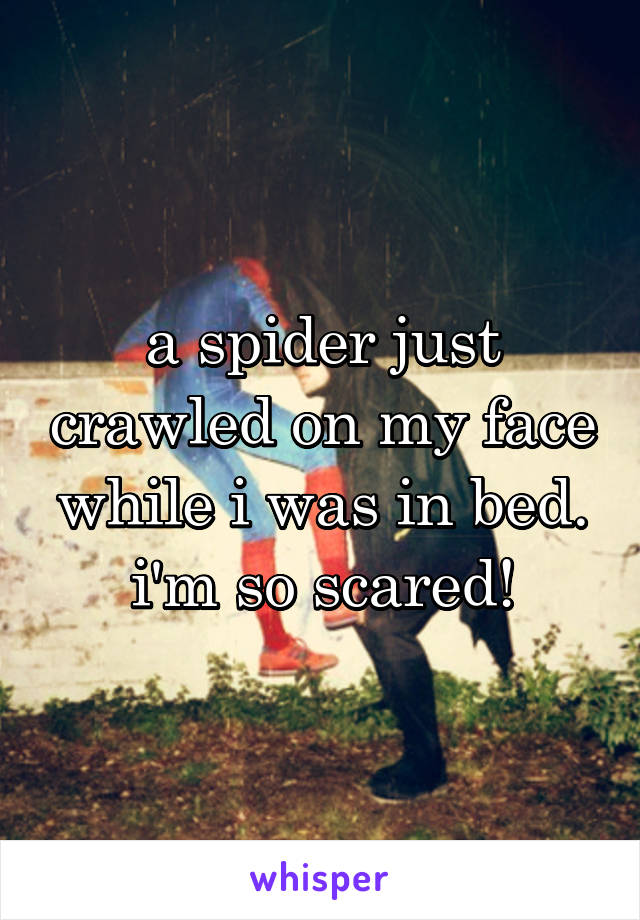 a spider just crawled on my face while i was in bed. i'm so scared!