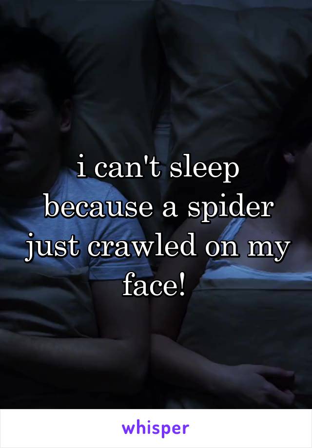 i can't sleep because a spider just crawled on my face! 