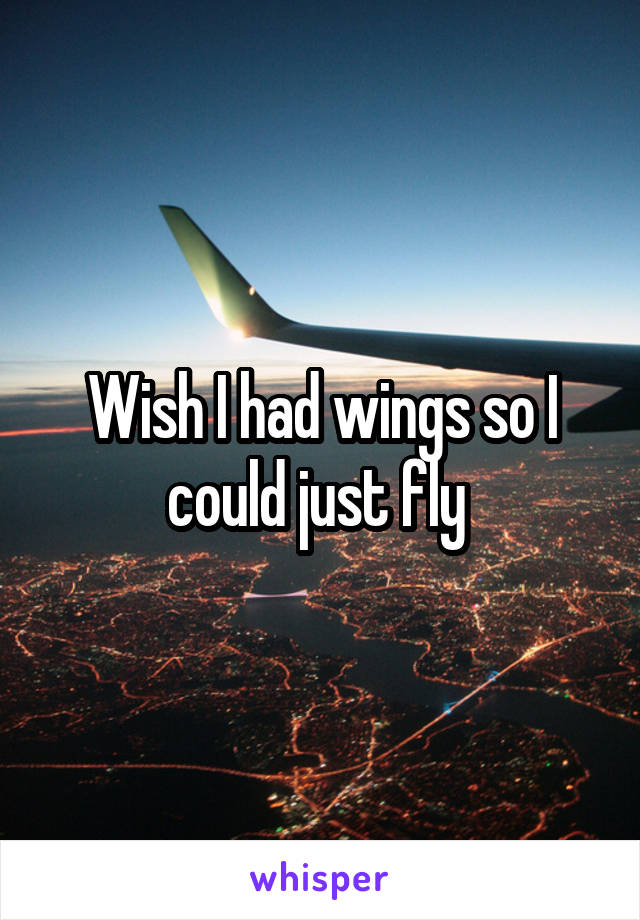 Wish I had wings so I could just fly 