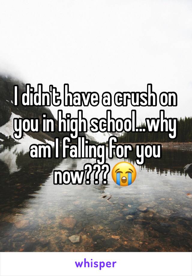 I didn't have a crush on  you in high school...why am I falling for you now???😭