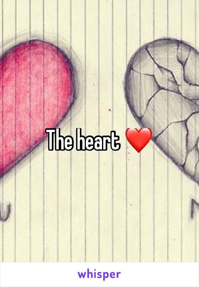 The heart ❤️ 