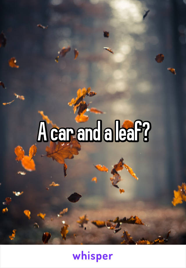 A car and a leaf?