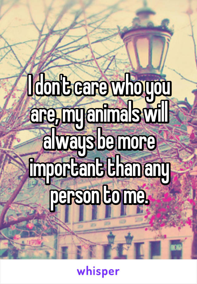 I don't care who you are, my animals will always be more important than any person to me.