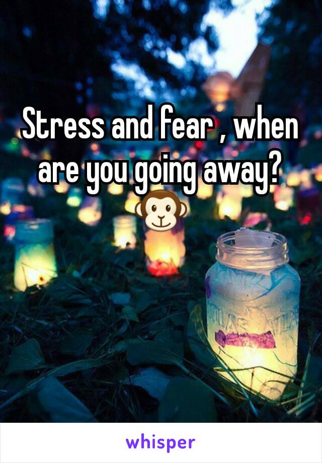 Stress and fear , when are you going away?🐵