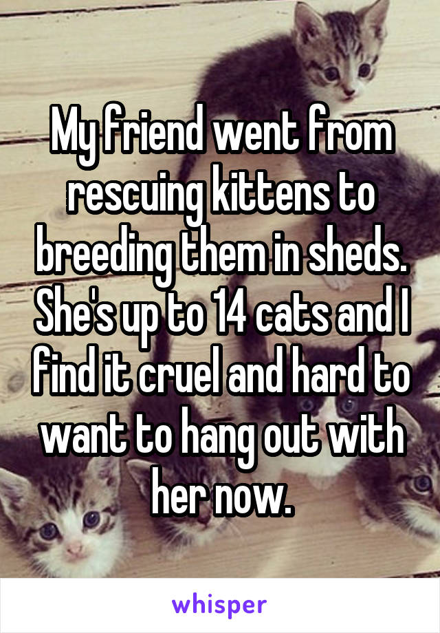 My friend went from rescuing kittens to breeding them in sheds. She's up to 14 cats and I find it cruel and hard to want to hang out with her now.