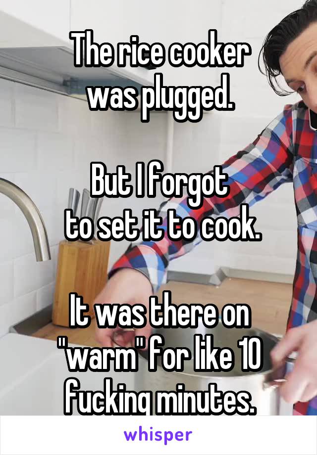 The rice cooker
was plugged.

But I forgot
 to set it to cook.

It was there on "warm" for like 10 fucking minutes.