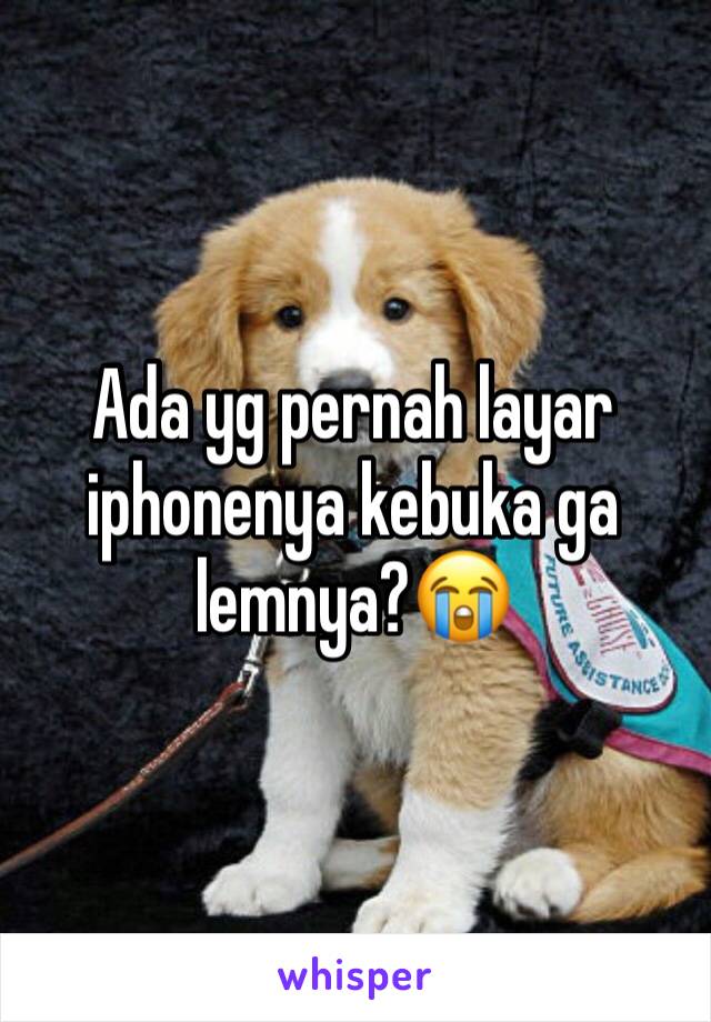 Ada yg pernah layar iphonenya kebuka ga lemnya?😭