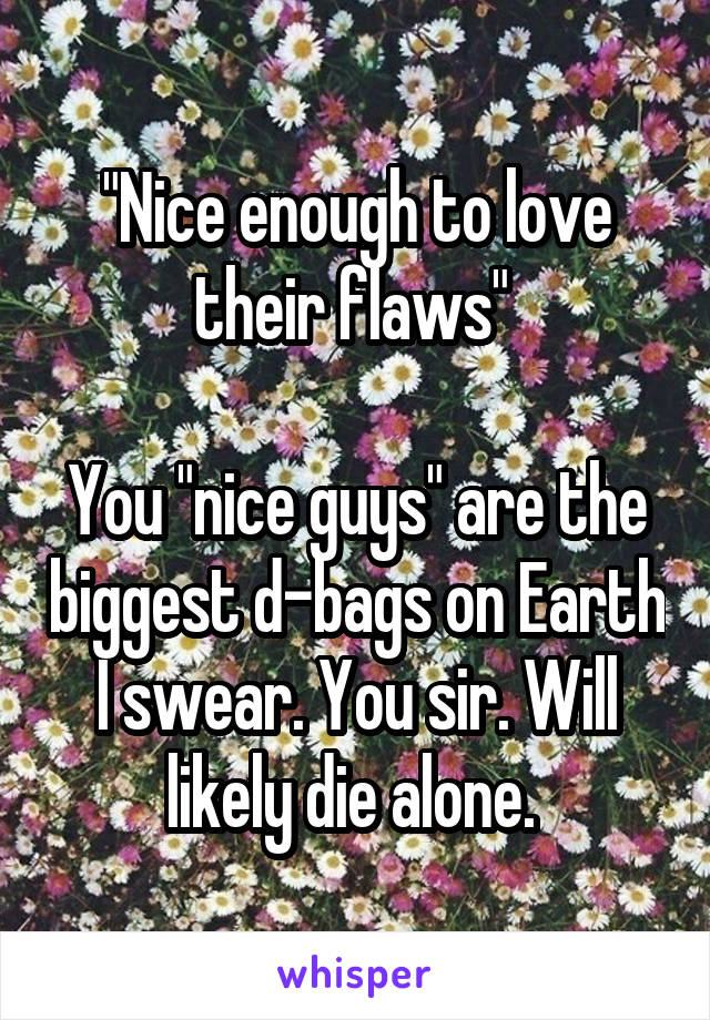 "Nice enough to love their flaws" 

You "nice guys" are the biggest d-bags on Earth I swear. You sir. Will likely die alone. 