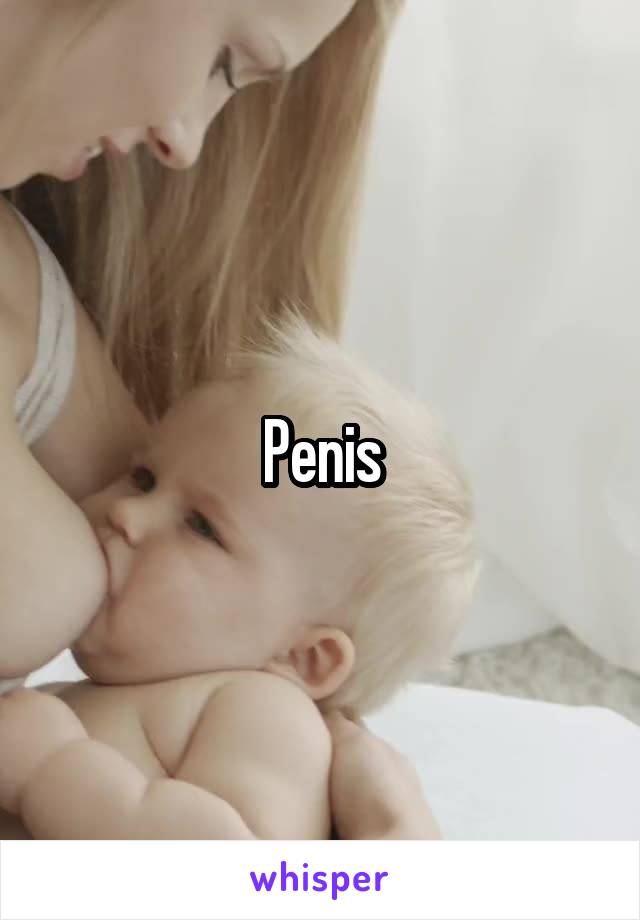 Penis