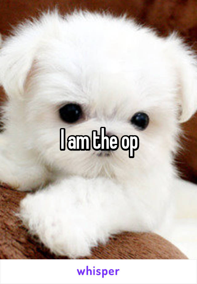 I am the op