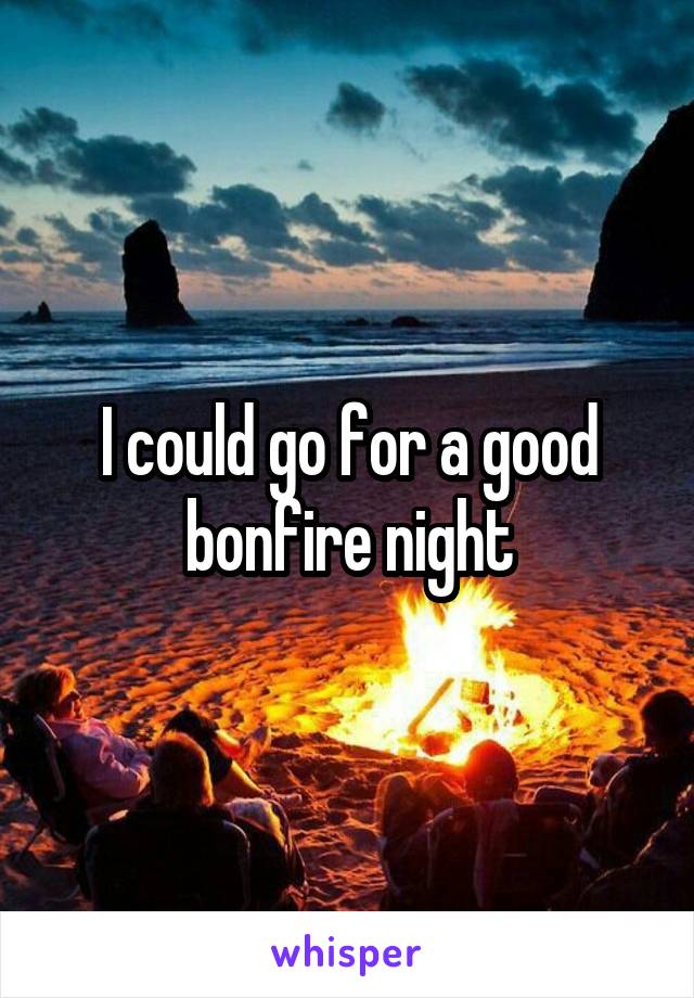 I could go for a good bonfire night