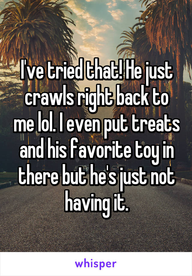 I've tried that! He just crawls right back to me lol. I even put treats and his favorite toy in there but he's just not having it.