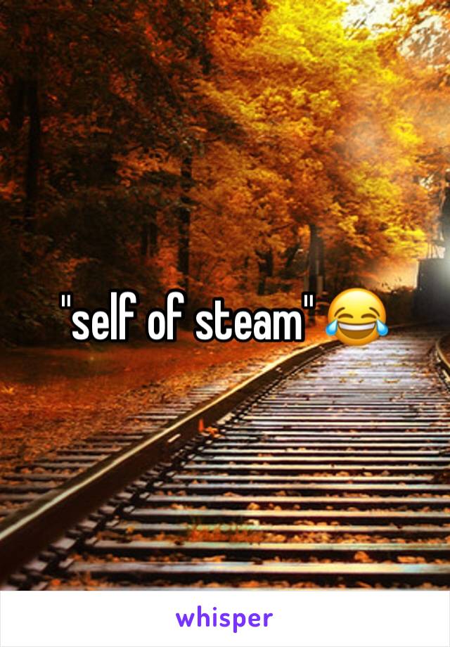 "self of steam" 😂