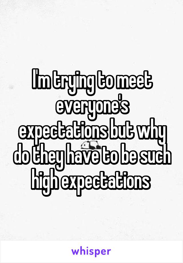 I'm trying to meet everyone's expectations but why do they have to be such high expectations 