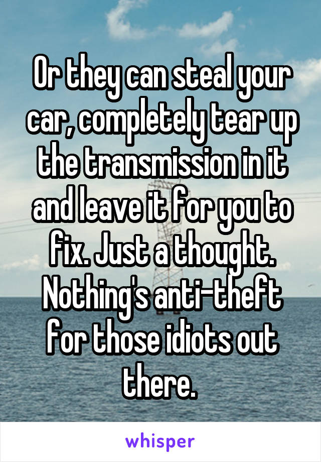 Or they can steal your car, completely tear up the transmission in it and leave it for you to fix. Just a thought. Nothing's anti-theft for those idiots out there. 