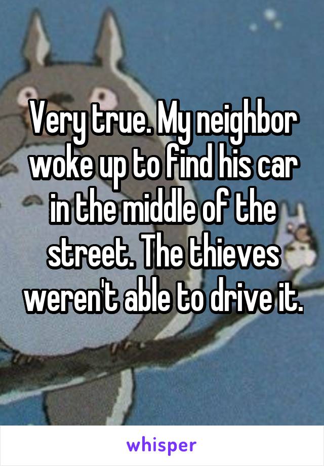 Very true. My neighbor woke up to find his car in the middle of the street. The thieves weren't able to drive it. 