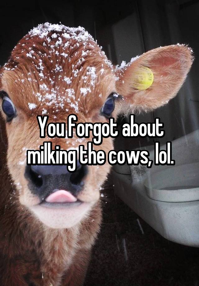 You forgot about milking the cows, lol.