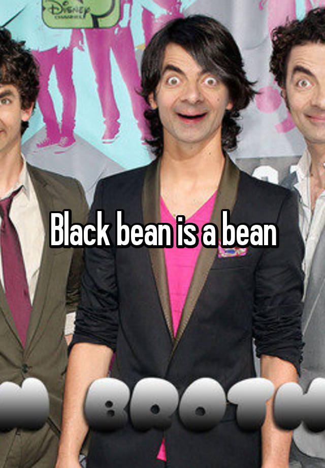 black-bean-facts-health-benefits-and-nutritional-value