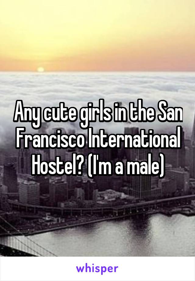 Any cute girls in the San Francisco International Hostel? (I'm a male)