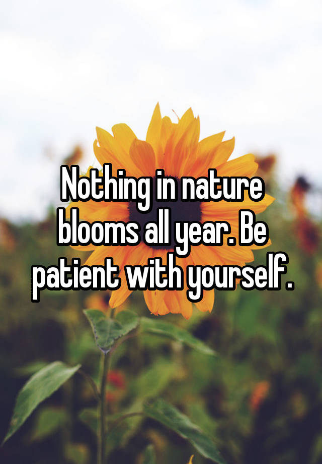 Nothing in nature blooms all year. Be patient with yourself.