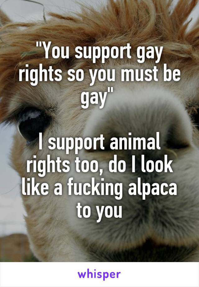 "You support gay rights so you must be gay" 

I support animal rights too, do I look like a fucking alpaca to you

