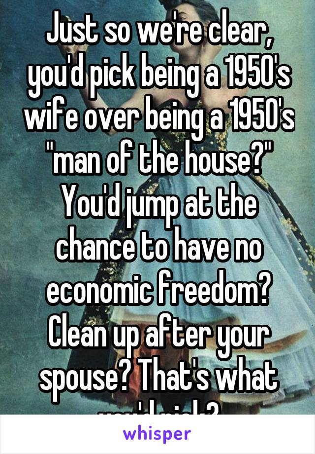 Just so we're clear, you'd pick being a 1950's wife over being a 1950's "man of the house?" You'd jump at the chance to have no economic freedom? Clean up after your spouse? That's what you'd pick?