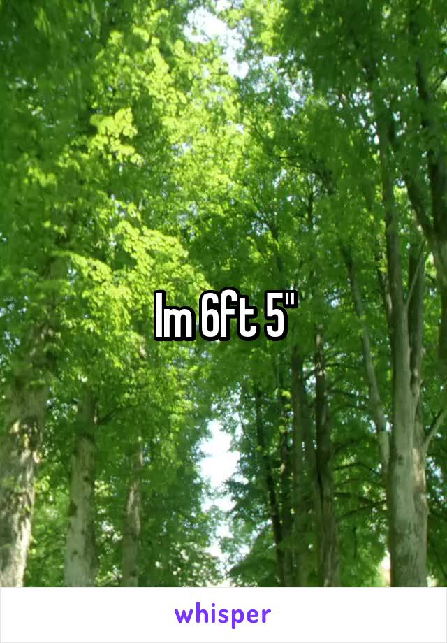 Im 6ft 5"