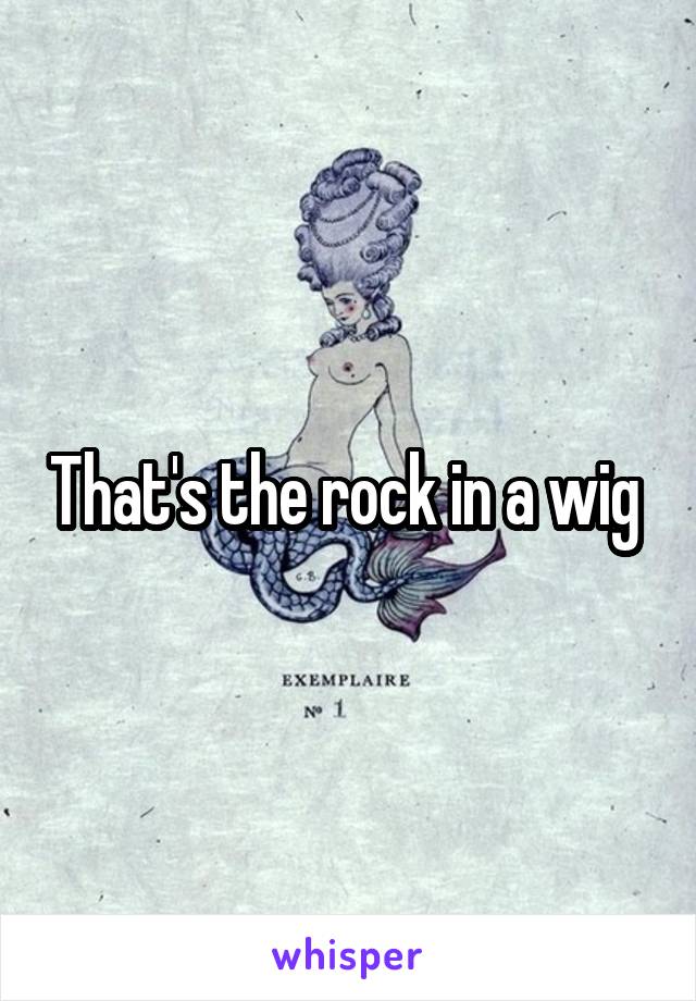 That's the rock in a wig 