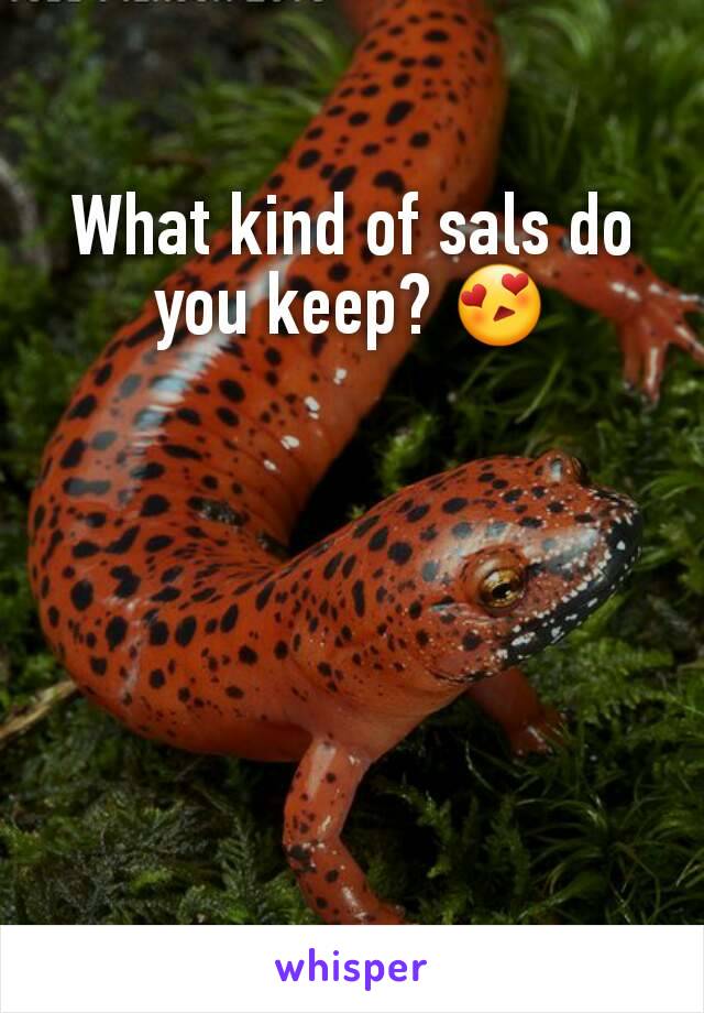 What kind of sals do you keep? 😍