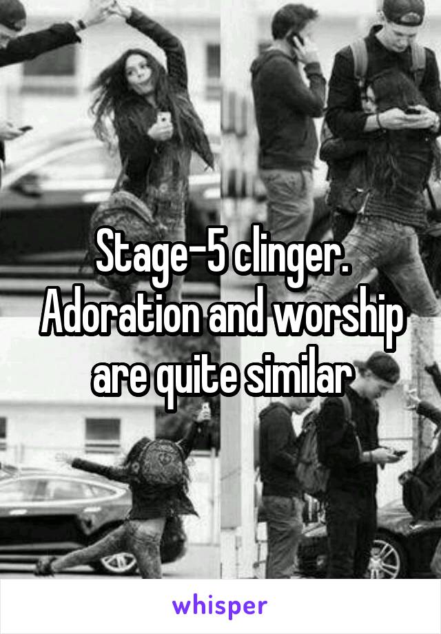 Stage-5 clinger. Adoration and worship are quite similar