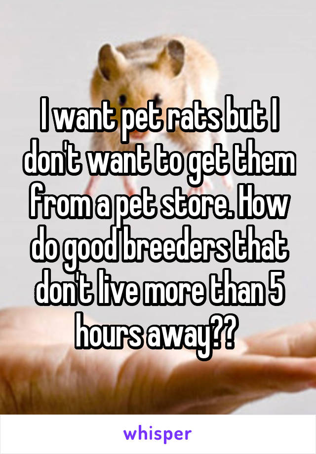 I want pet rats but I don't want to get them from a pet store. How do good breeders that don't live more than 5 hours away?? 
