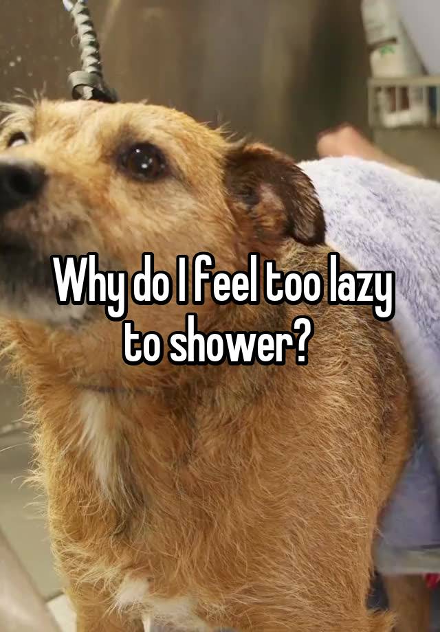 why-do-i-feel-too-lazy-to-shower