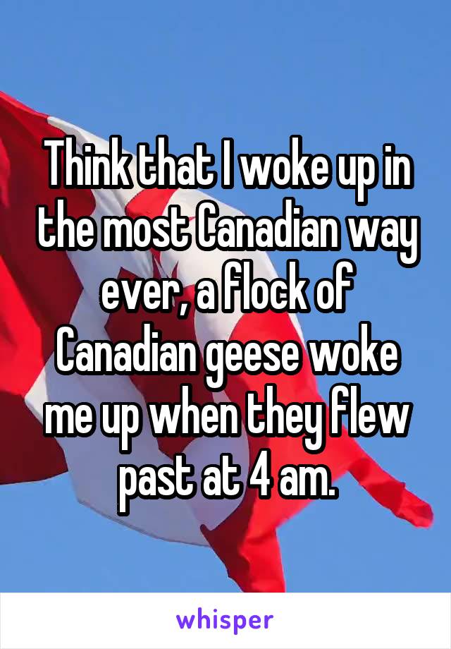 Think that I woke up in the most Canadian way ever, a flock of Canadian geese woke me up when they flew past at 4 am.