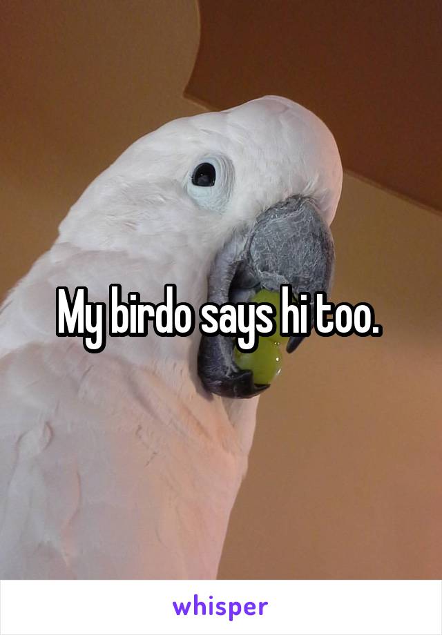 



My birdo says hi too. 