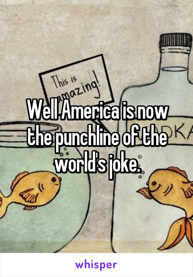 Well America is now the punchline of the world's joke.