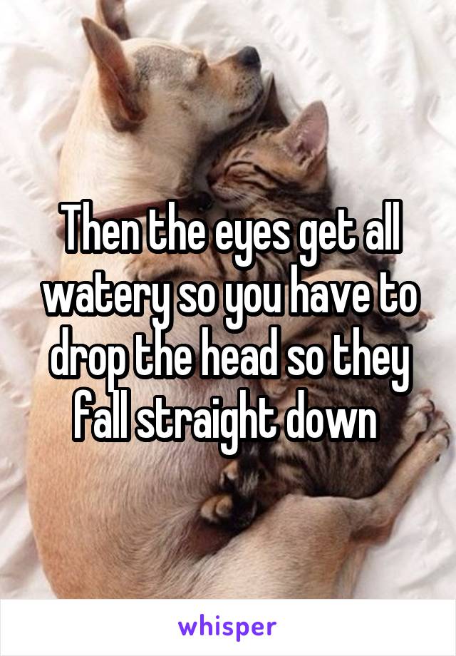 Then the eyes get all watery so you have to drop the head so they fall straight down 