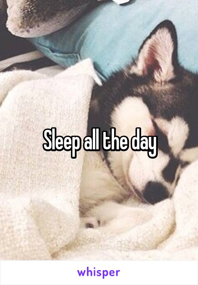 Sleep all the day