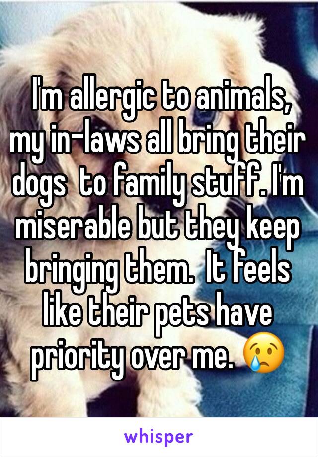 I'm allergic to animals, my in-laws all bring their dogs  to family stuff. I'm  miserable but they keep bringing them.  It feels like their pets have priority over me. 😢