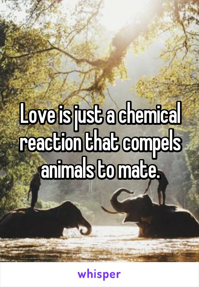 Love is just a chemical reaction that compels animals to mate.