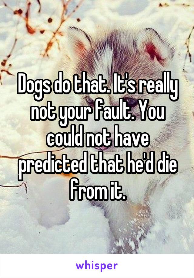 Dogs do that. It's really not your fault. You could not have predicted that he'd die from it.