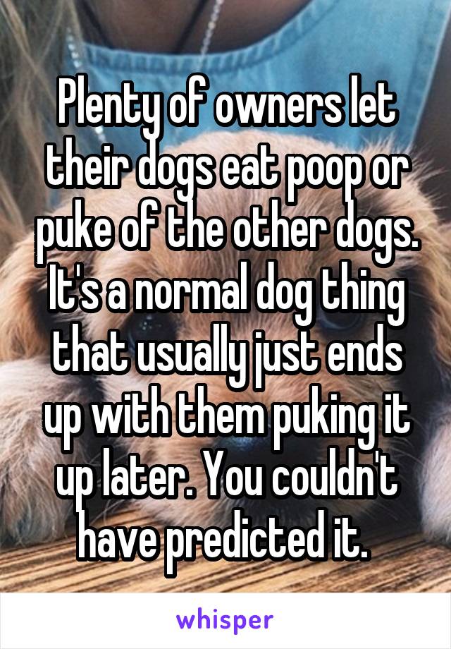 Plenty of owners let their dogs eat poop or puke of the other dogs. It's a normal dog thing that usually just ends up with them puking it up later. You couldn't have predicted it. 