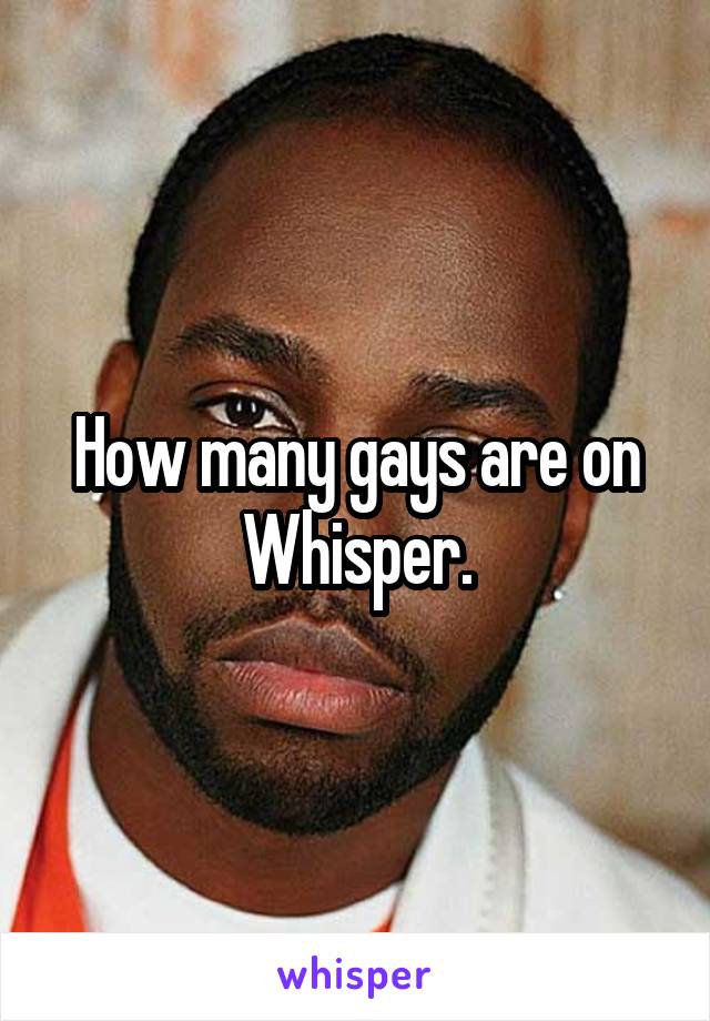 How many gays are on Whisper.